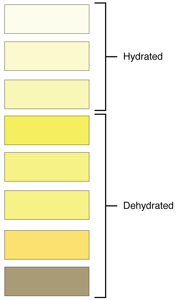 Essa cartela de cores mostra diferentes tons de amarelo e associa cada tom à hidratação ou desidratação.