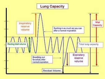 This is a graph of lung capacity at the various stages of the respiratory cycle, which is one inhalation followed by an exhalation. The events during this cycle are labeled, from left to right: resting tidal volume, inspiratory reserve volume, residual volume, expiratory reserve volume, total lung capacity, and vital capacity.