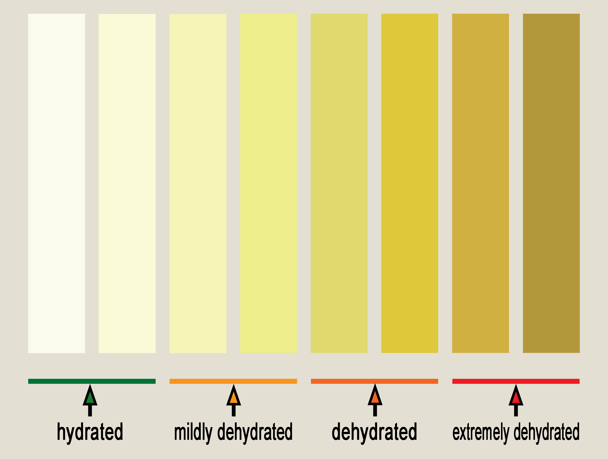 Urine color chart used to determine hydration status. Pale yellow and clear urine indicates hydration; darker yellow to brown urine indicates dehydration.