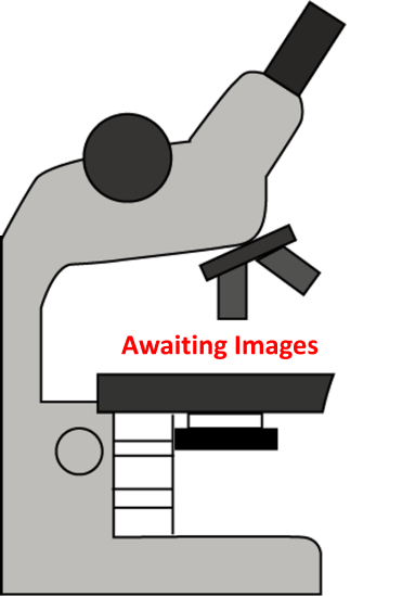 Awaiting Images.png