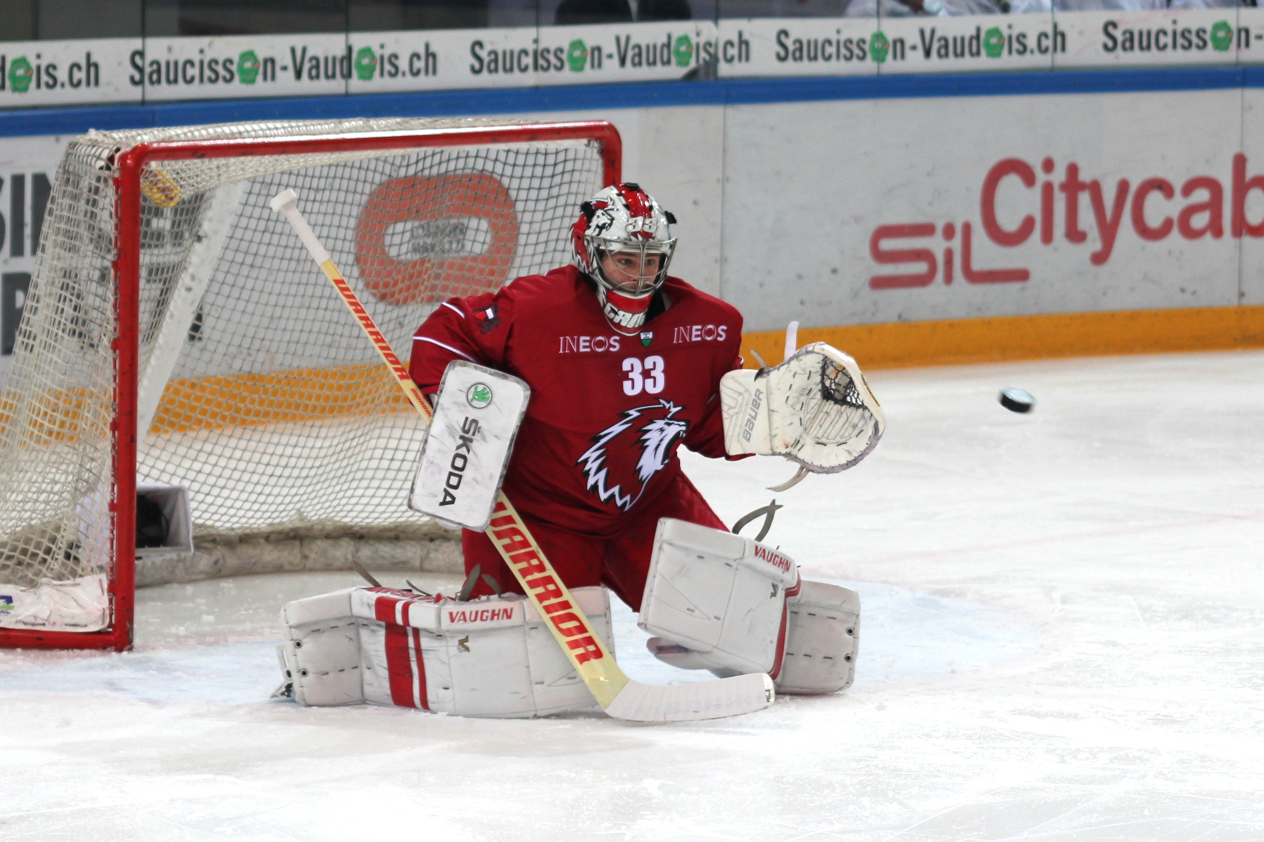 Hockey goalie