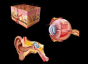 mindtouch.page#thumbnail