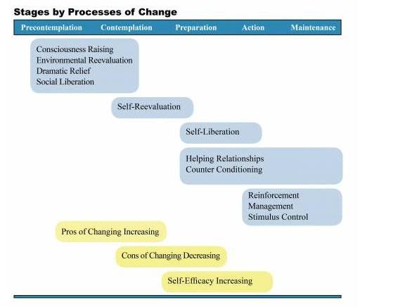 Processes_of_Change_3.JPG