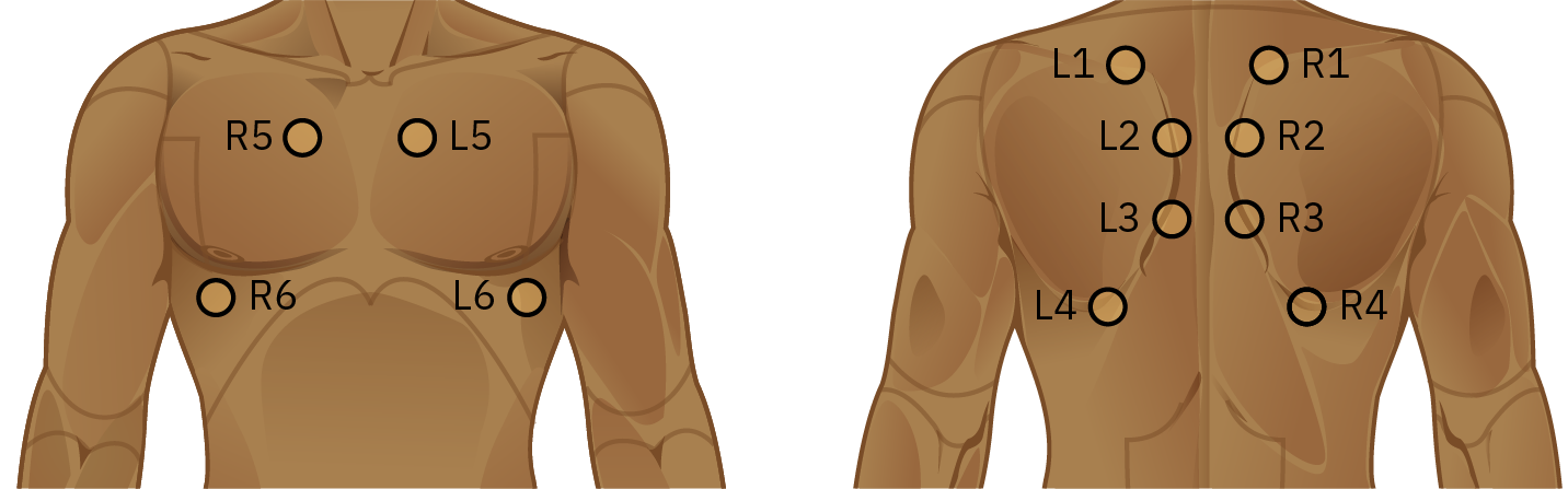 A diagram of the front and back of a person's chest, with the correct sequence for auscultation shown. Starting on the top of the back, start on the left side and then move to the right side. The sequence moves down the back, following the curve of the shoulder blade in four different places, continuing to switch between left and right. From there, the sequence continues on the front of the chest, starting at the top near the heart and then moving to the bottom of the lungs. In all, there are 12 steps in the sequence: 8 on the back, 4 on each side, and 4 on the front, 2 on each side.