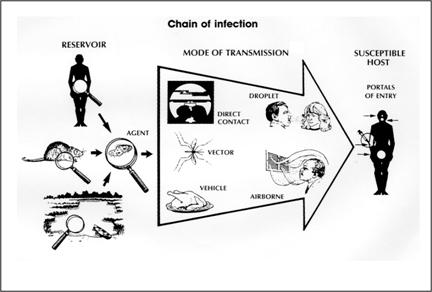 Principles of Epidemiology | Lesson 1 - Section 10