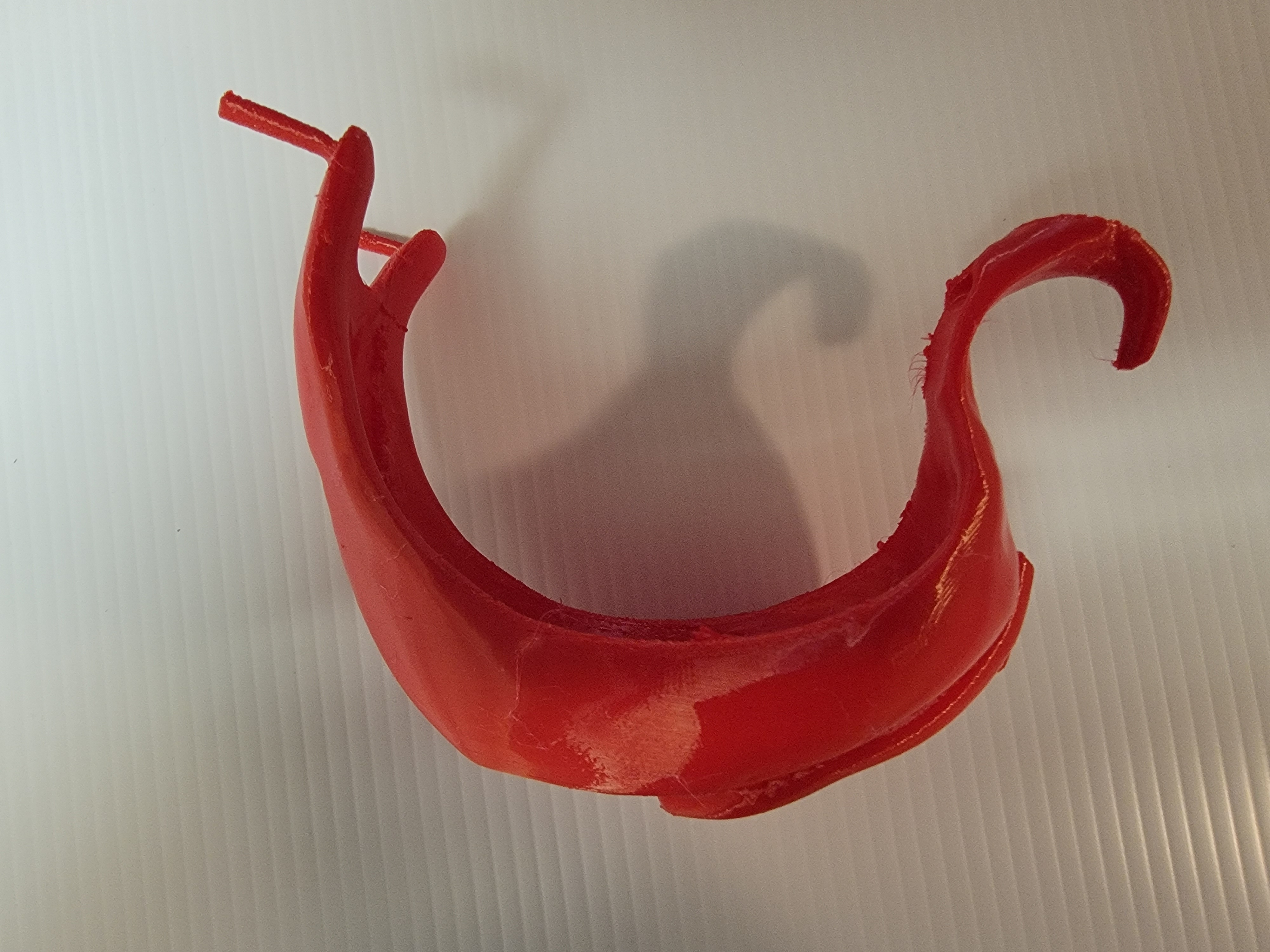 Model of Pelvic Floor