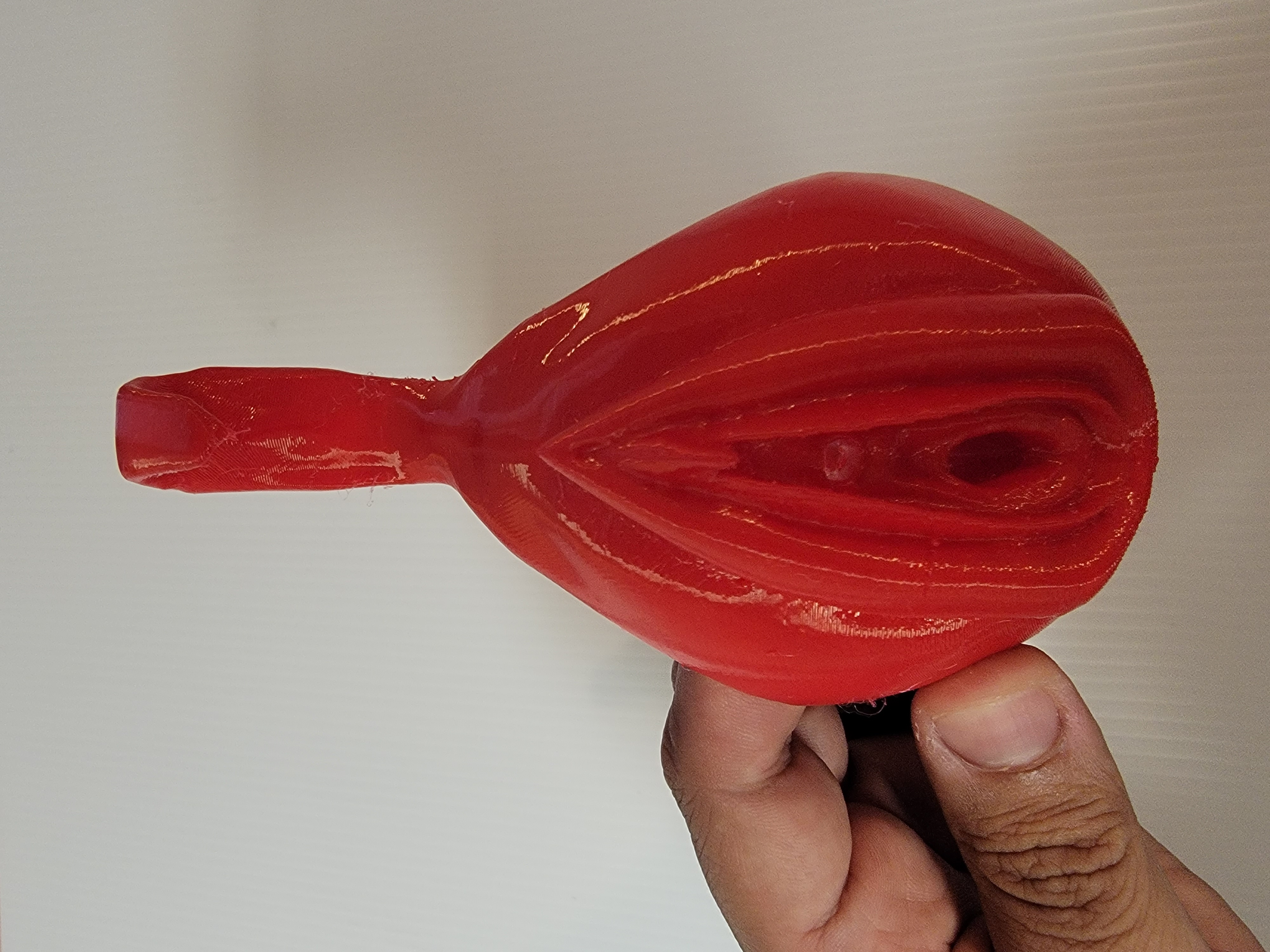 Model of Pelvic Floor