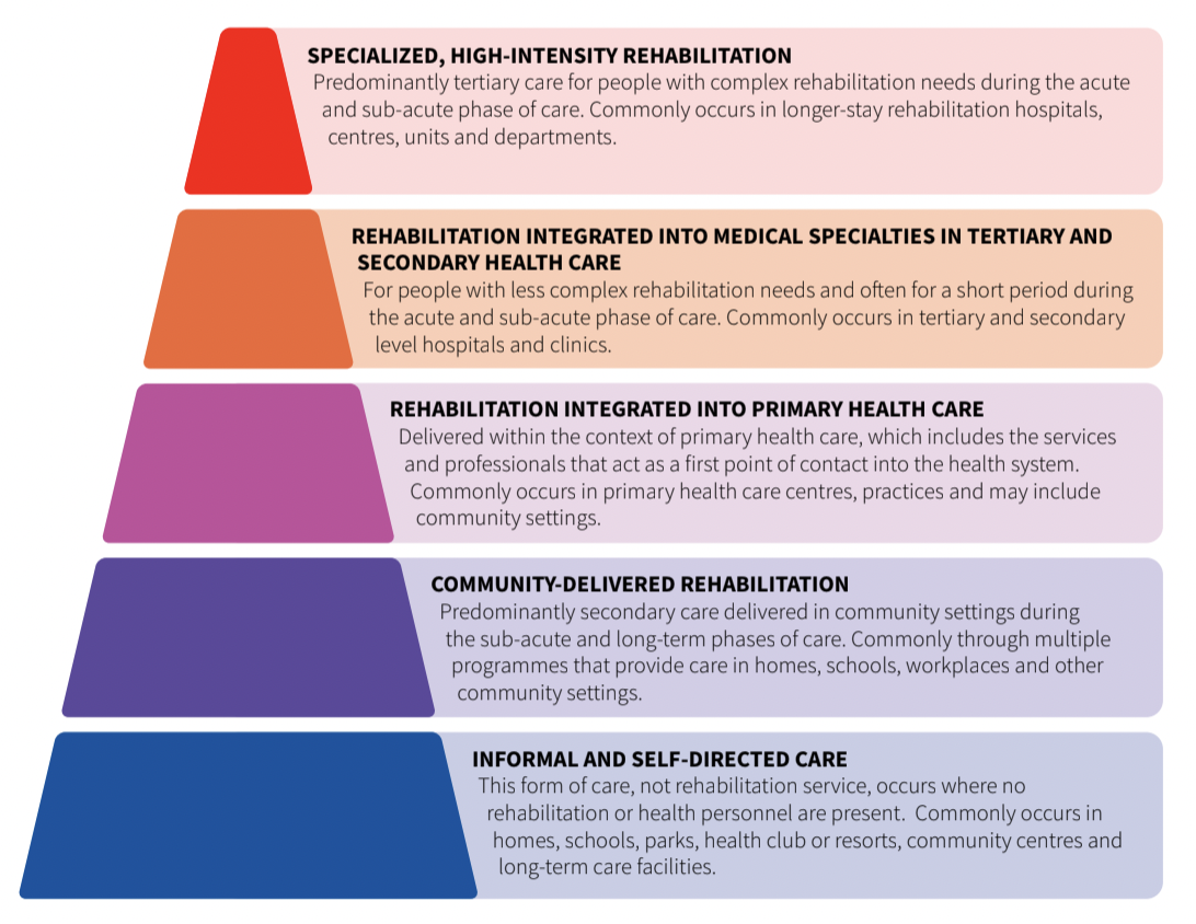 Rehabilitation in Health Framework