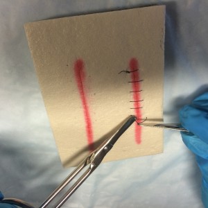 Snip suture distal to the knot