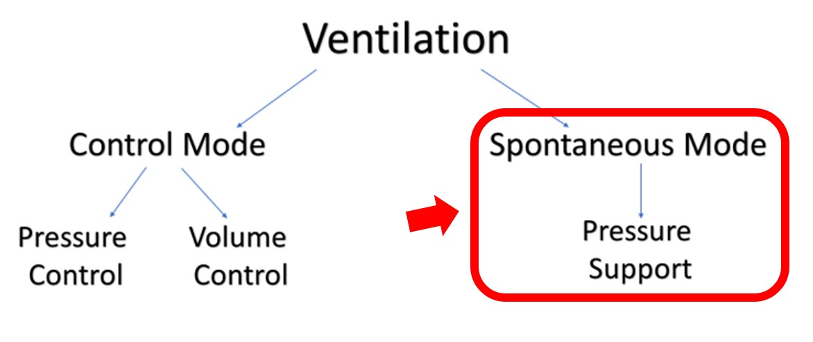 The ventilation family tree with spontaneous branch indicated.
