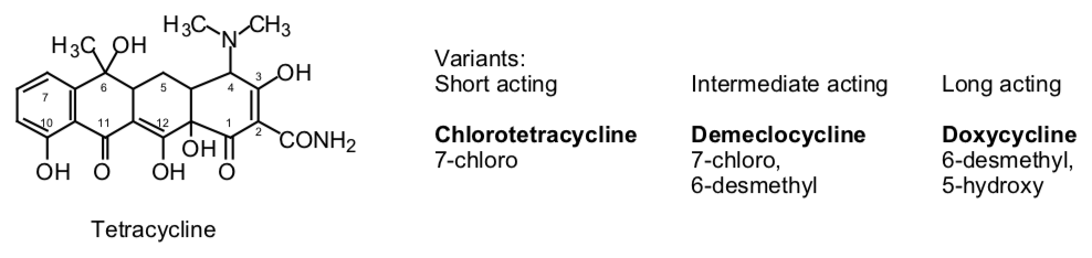 Знімок екрана 2019-01-19 в 4.27.42 AM.png