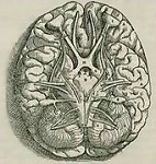 mindtouch.page#thumbnail