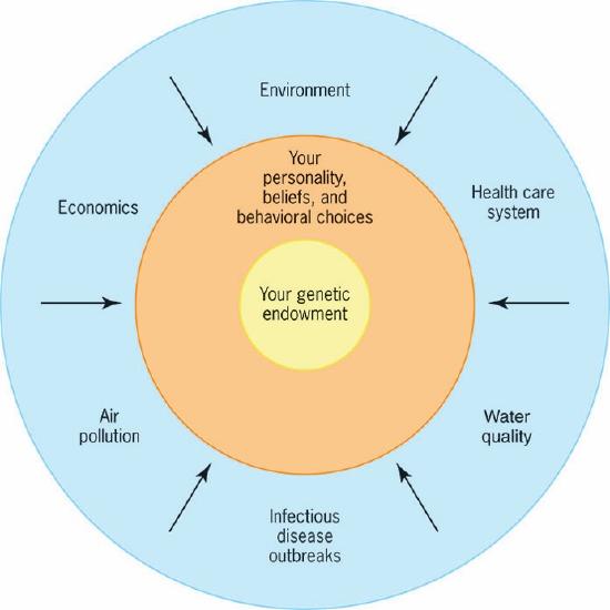 5.14: The Multi-Causation Model and the Ecological Model - Medicine ...