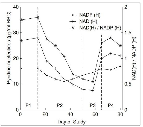 Graph showing pyridine nucleotide levels over study days. Y-axes: pyridine nucleotides (left), NADH/NADP ratio (right). Lines represent NADP(H), NAD(H), and NADH/NADP. X-axis marks periods P1-P4.