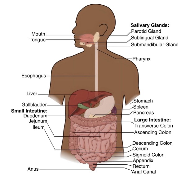 mindtouch.page#thumbnail