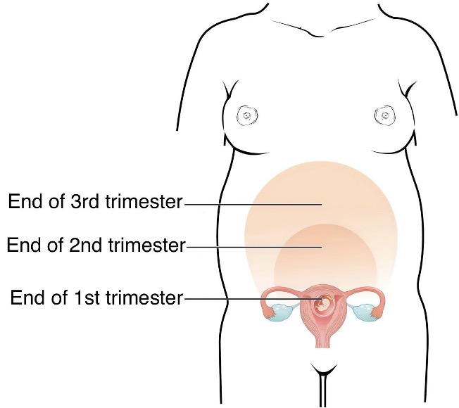 mindtouch.page#thumbnail