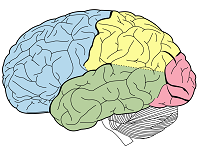 Book: Computational Cognitive Neuroscience (O'Reilly and Munakata)