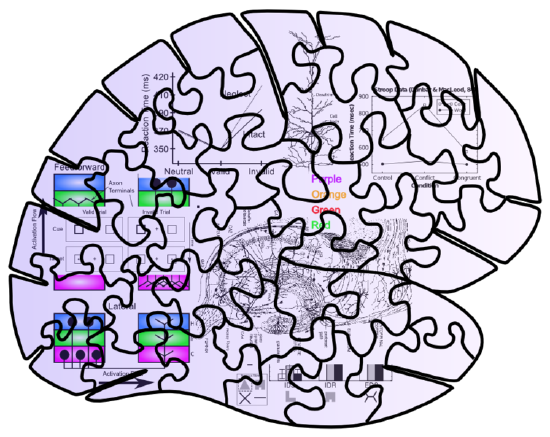 754px-fig_brain_puzzle_behav_bio_data.png