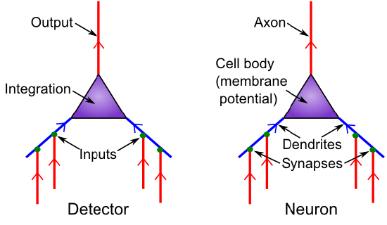fig_neuron_as_detect.png
