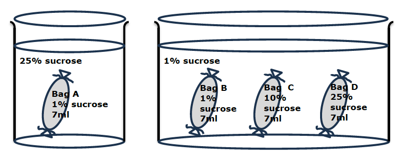 Diagram comparing two cylindrical containers with labeled sides and numerical values for volume or measurement.