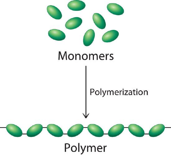Monomers and polymers