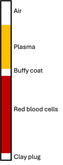 Three vertical bars of yellow, black, and red form a simple, abstract design against a white background.