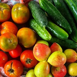 mindtouch.page#thumbnail