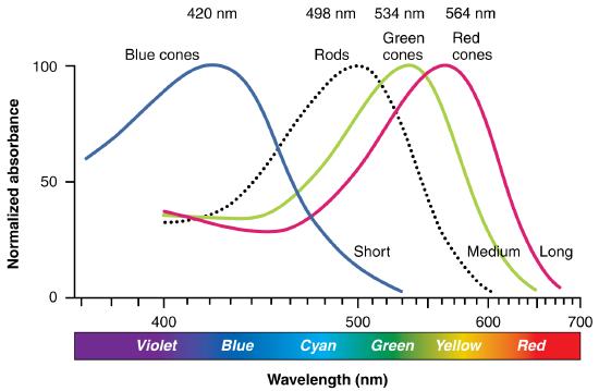 Graph of color sensitivity