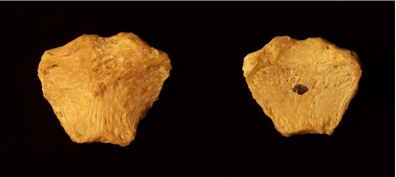 Screenshot (139).png