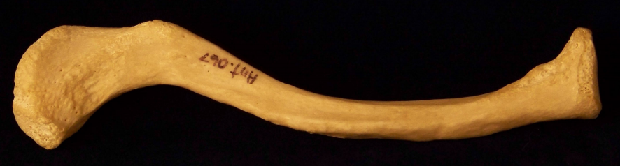 Screenshot (144).png