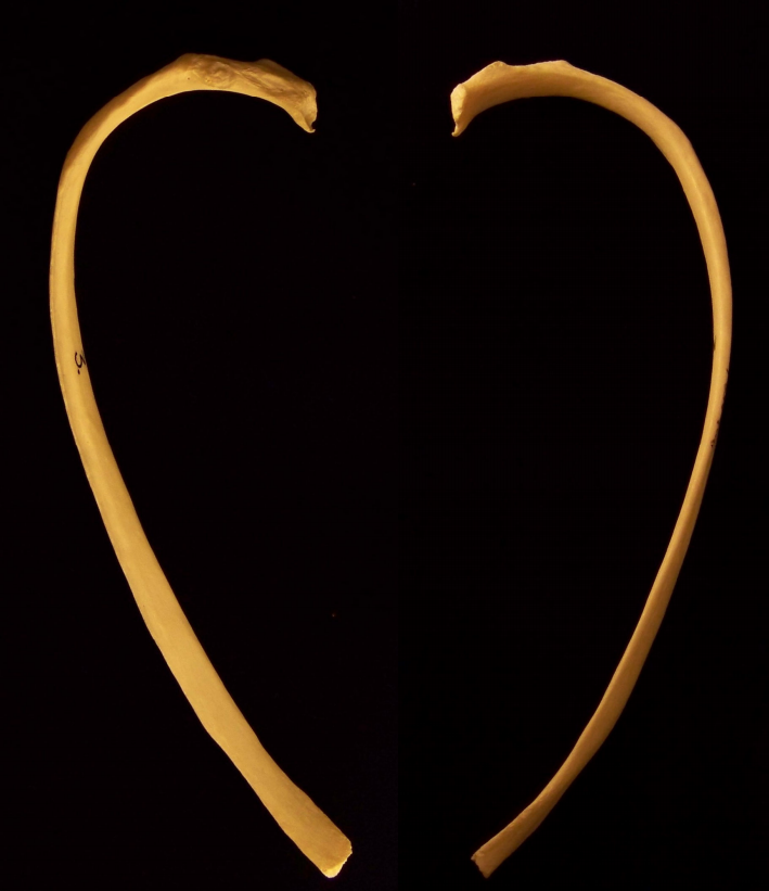 Screenshot (147).png