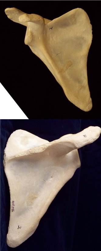 Screenshot (151).png