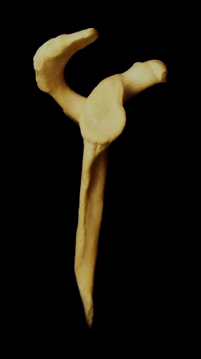 Screenshot (152).png