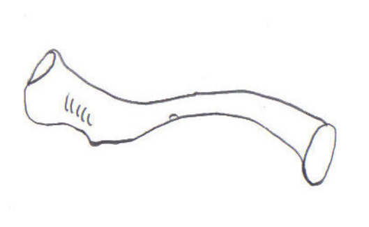 Screenshot (154).png