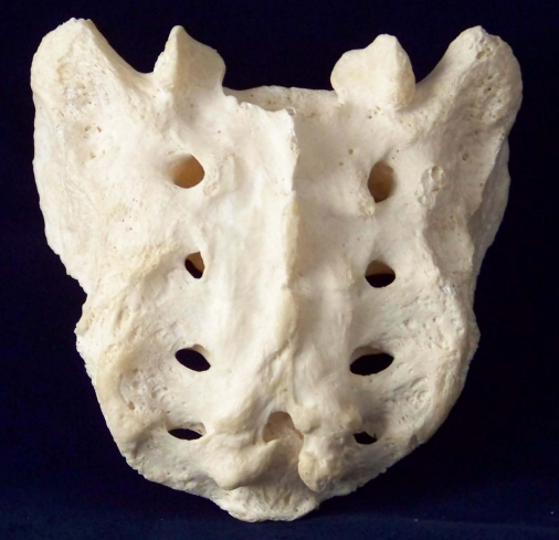 Screenshot (163).png