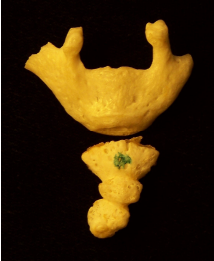 Screenshot (167).png