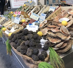 mindtouch.page#thumbnail