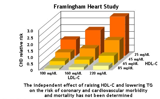 Reducing Residual Cardiovascular Risk: The Role of Raising HDL-C