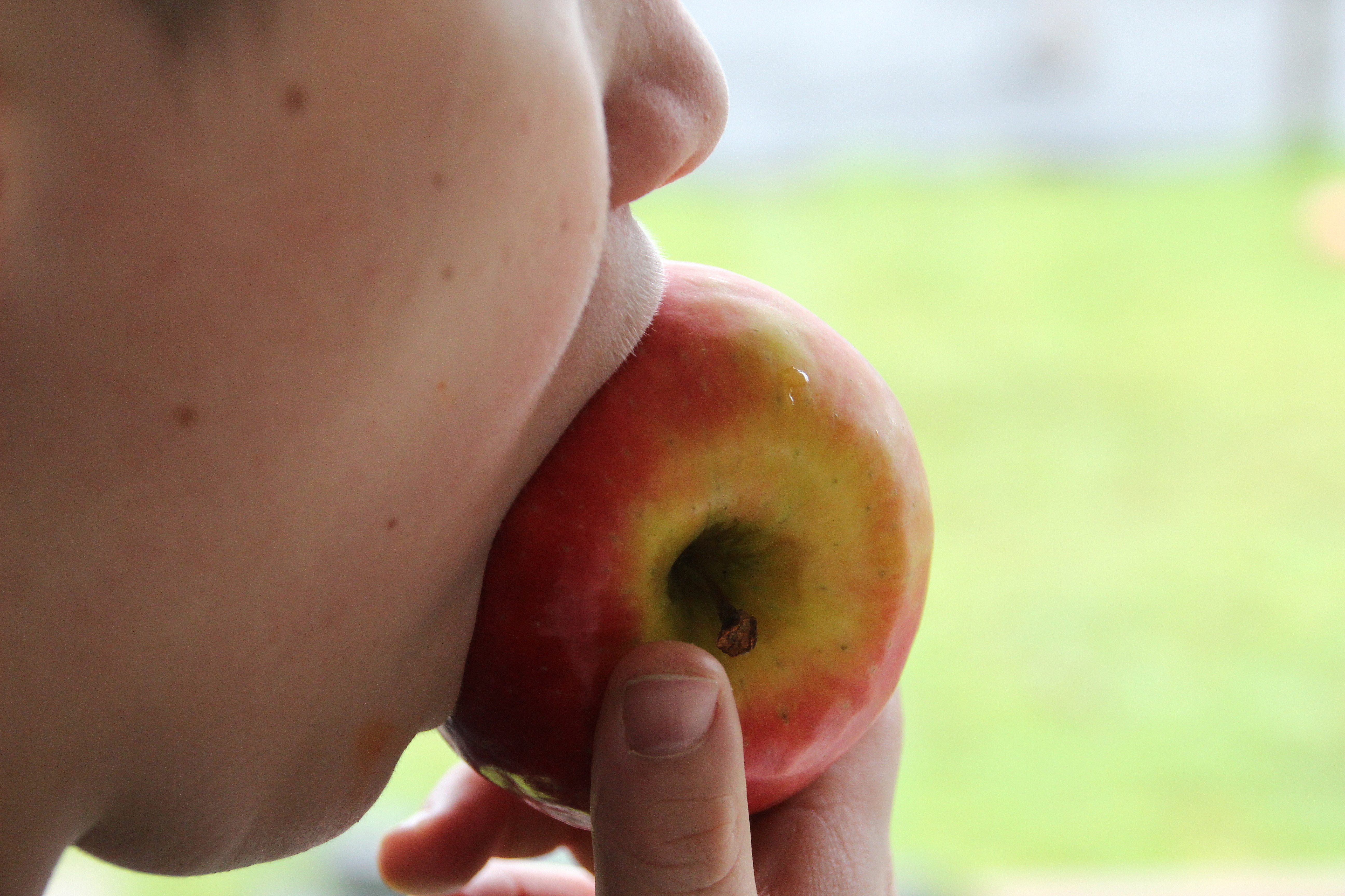 A close-up of a child&rsquo;s face holding a red apple by their mouth, with a blurred green background.