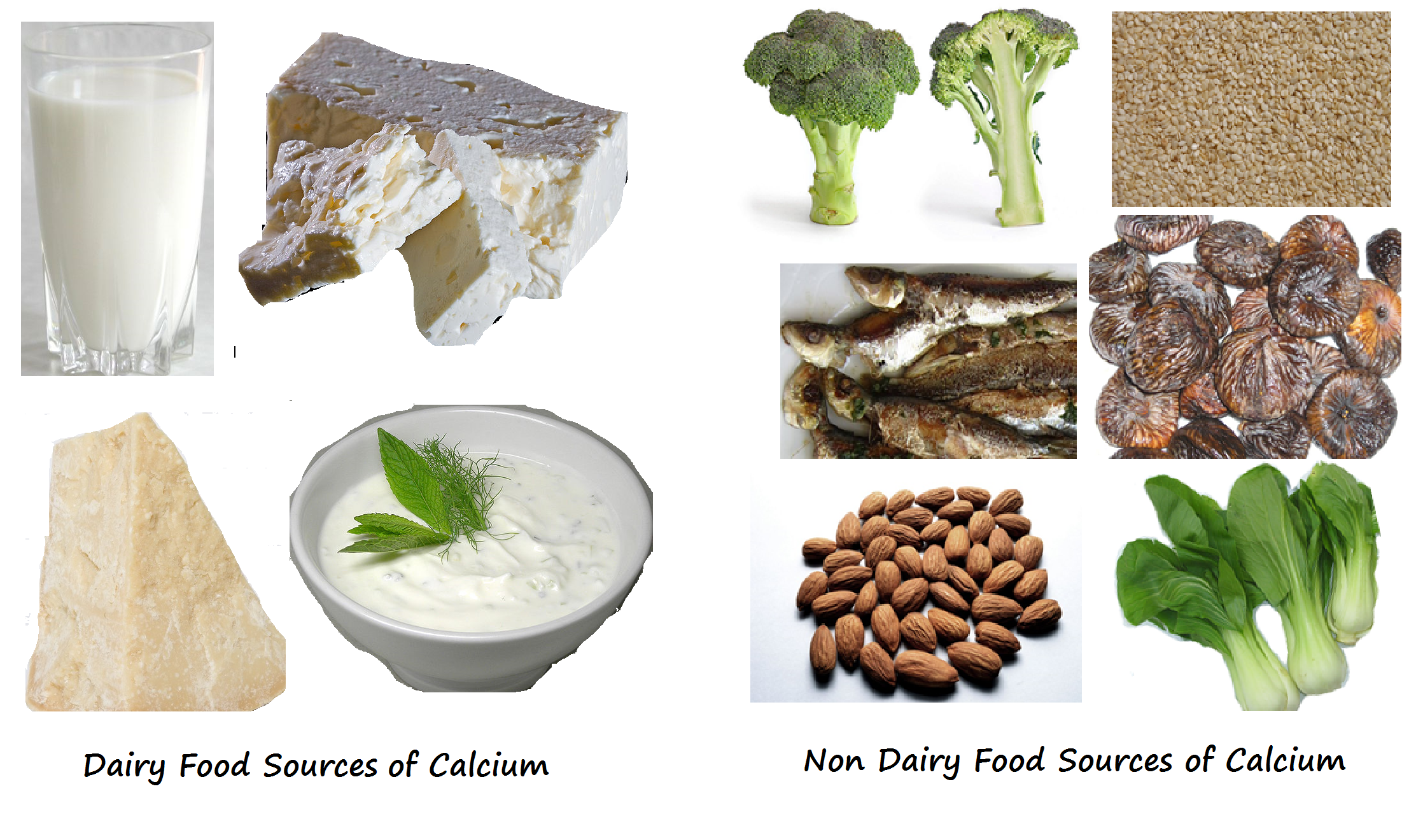 Images of dairy (milk, cheese, yogurt, and cheese) and non-dairy (broccoli, fish, sesame seeds, almonds, and bok choy) calcium sources.