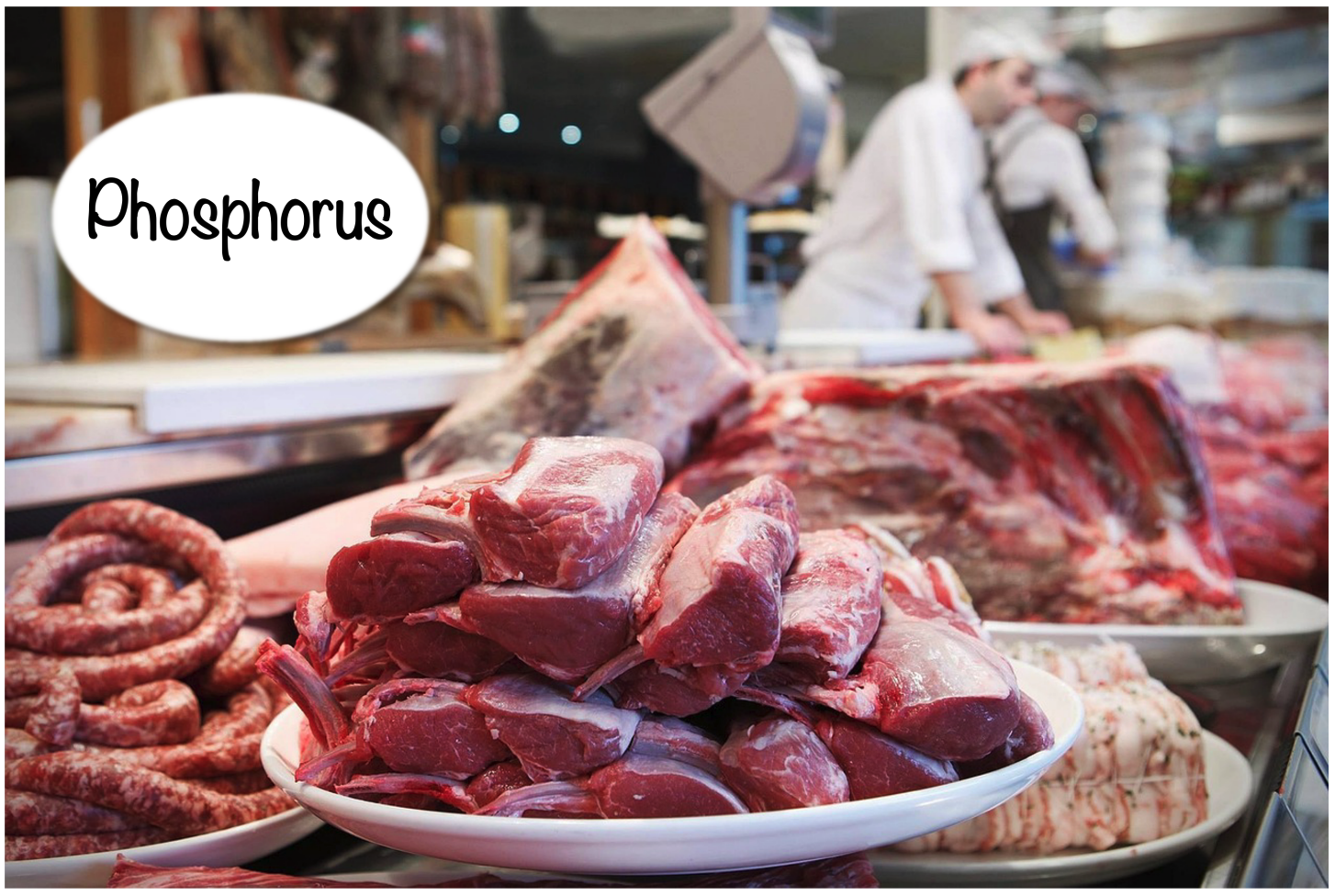Meat display in a butcher shop featuring various cuts of meat, with the word "Phosphorus" illustrated above.