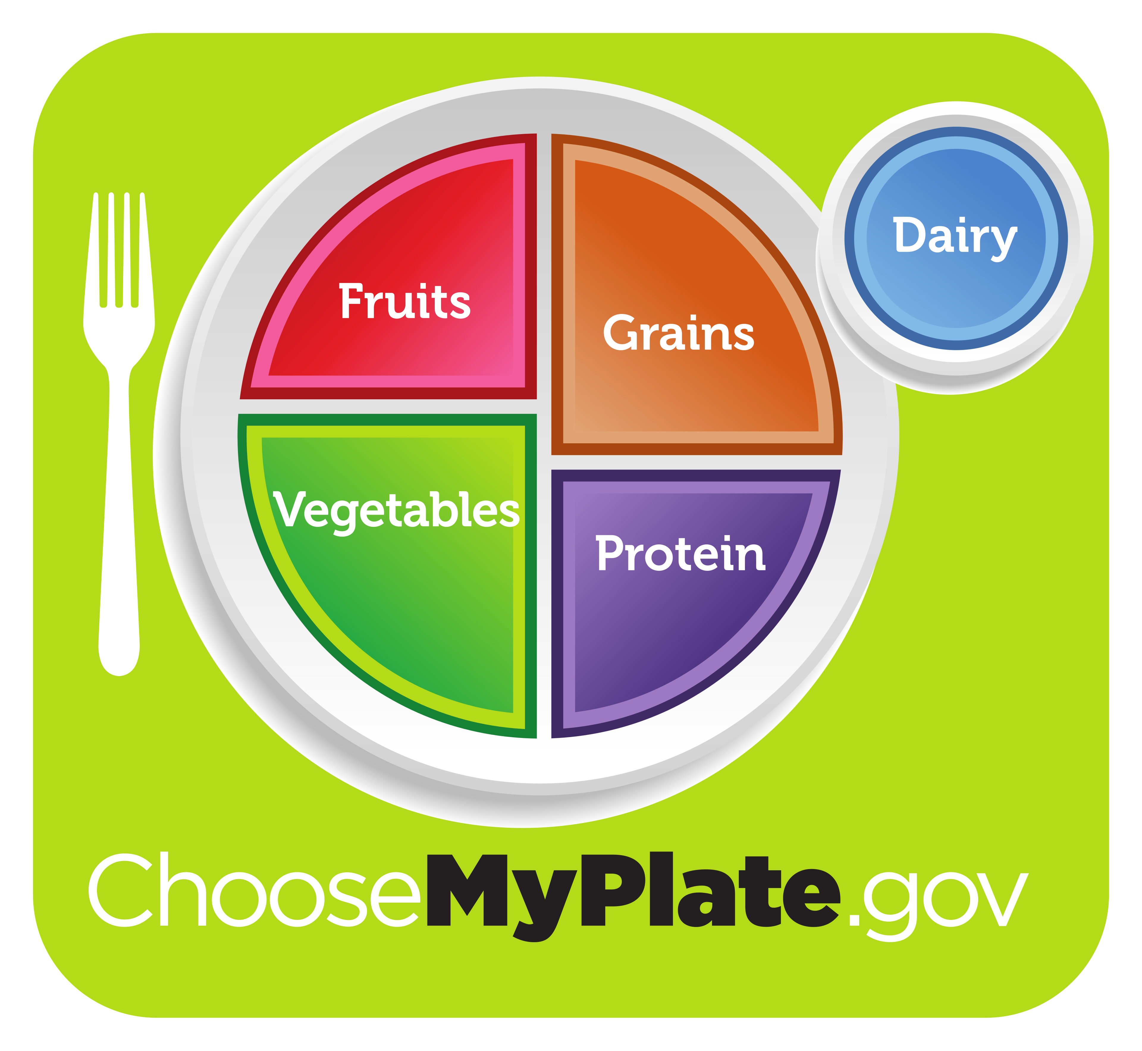 Graphic of a plate divided into sections labeled: Fruits, Grains, Vegetables, Protein, with a separate dairy circle.