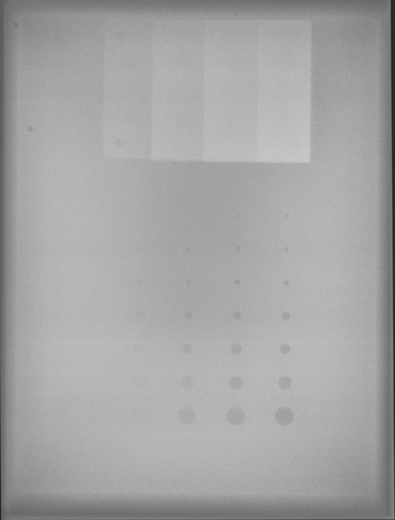 Common-x-ray-test-object-778x1024.jpg