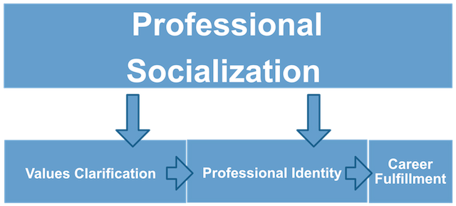 CH4-PROFESSIONAL_SOCIALIZATION_640289.png
